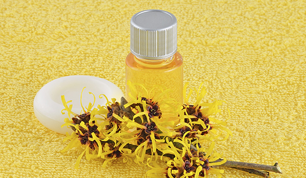 5 ways witch hazel benefits your skin, and our favourite products