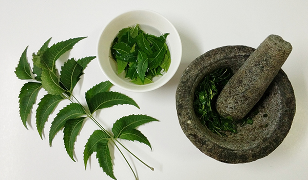 Skin, hair and health benefits of eating neem leaves on an empty stomach