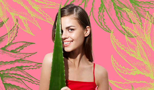 Aloe Vera Benefits for Skin and Hair Go Way Beyond Soothing a Sunburn