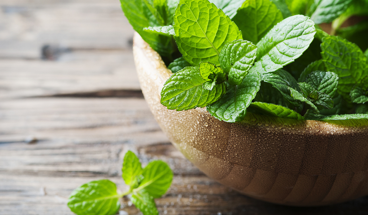 Add these 7 DIY mint face packs to your skin care routine for glowing skin!