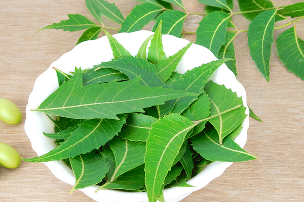 Tea tree oil for heat pimples