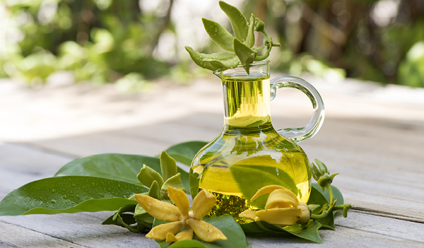 Ylang Ylang Oil Benefits: the magic oil your skincare needs