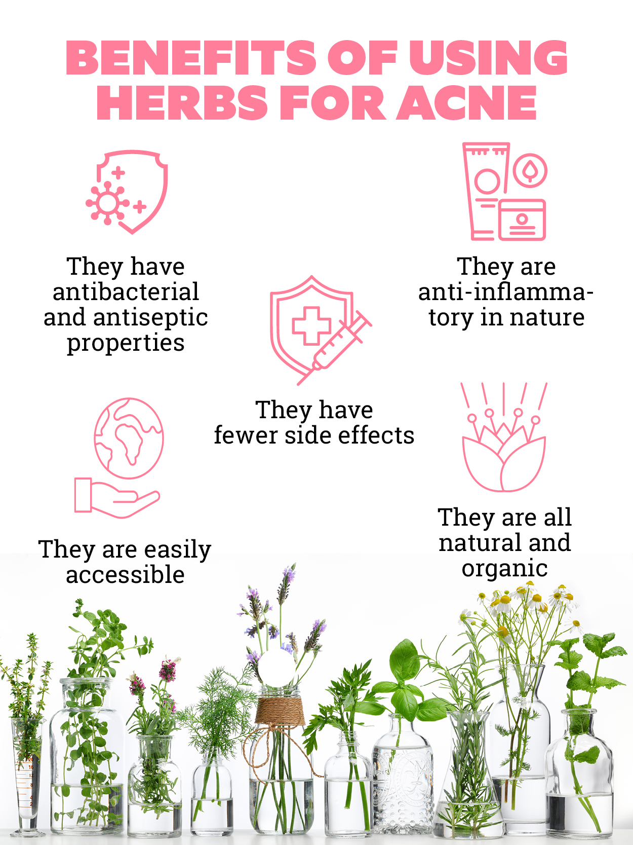 Herbs For Acne: Benefits And How To Use Them?