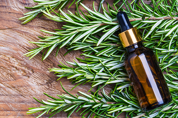 How to use rosemary oil to prevent hair loss