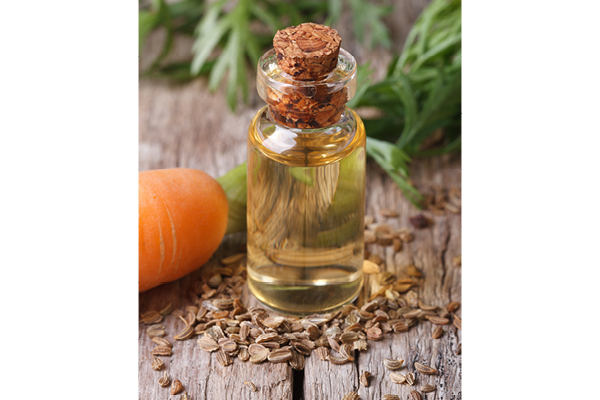 Carrot Seed Oil - Health Simplified