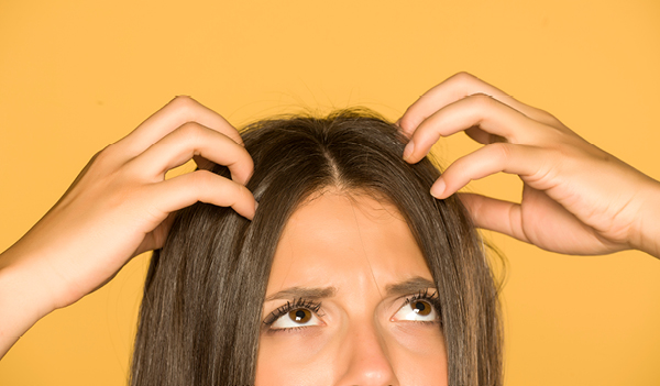 Lice Battle Stories: Home Remedies for Permanent Removal