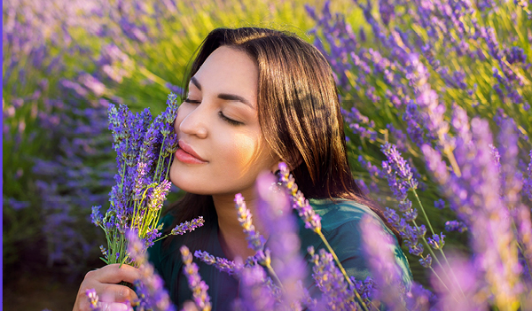 Calming lavender infused products your skin needs this summer