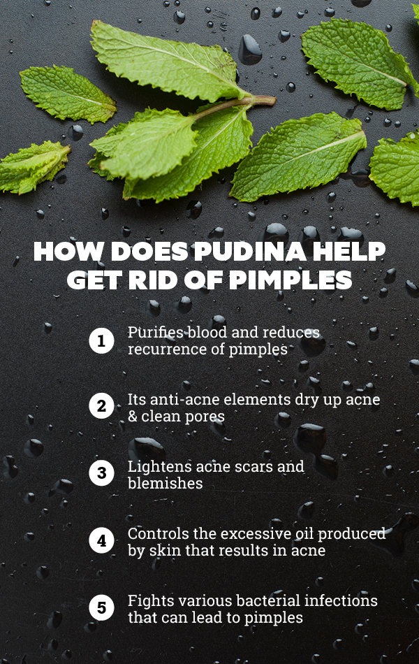 Say Bye Bye To Pimples With These 10 Pudina Face Packs