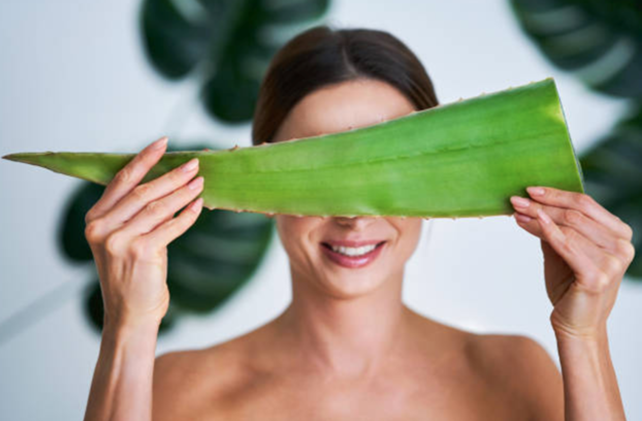 Here's Why Aloe Vera Hair Oil is Recommended by Experts: Top Reasons   