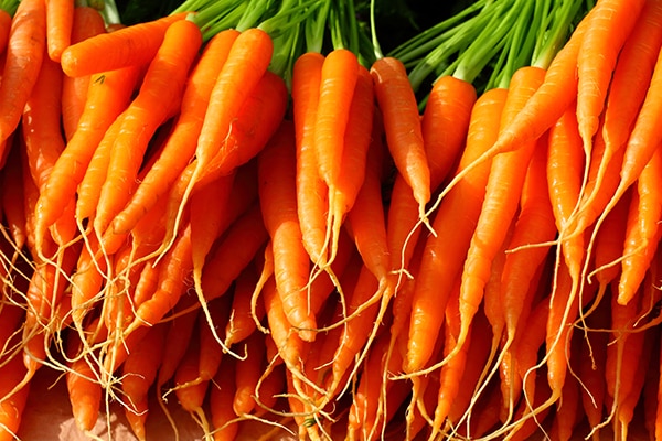 Orange coloured root vegetables