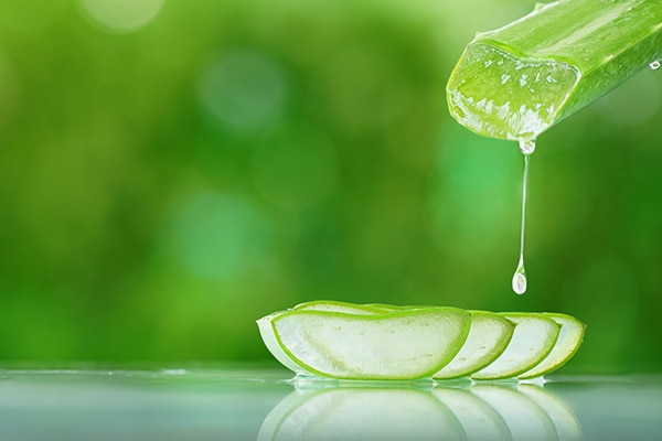 5 Ways In Which You Can Employ Aloe Vera Gel To Serve Your Hair