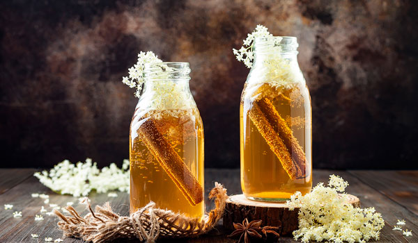 Everything You Need to Know About Kombucha Tea