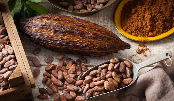 BENEFITS OF COCOA FOR HEALTHY SKIN