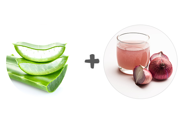 Aloe vera and hotsell onion juice for hair