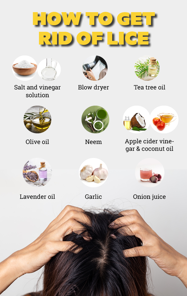 9 Home Remedies to Get Rid of Head Lice