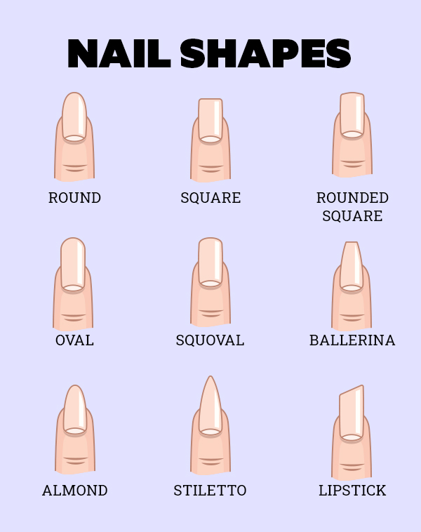 The Definitive Guide to Different Nail Shapes – Mylee