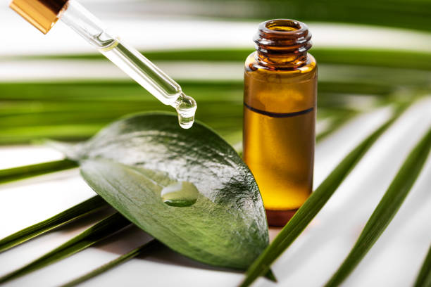 Tea Tree Oil for Hair: The Benefits and Uses 