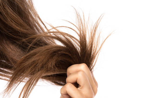 How to Prevent and Get Rid of Split Ends, According to Hairstylists