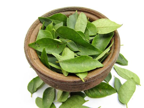 Top Ten Benefits of Curry Leaves for Hair Growth | Top 10