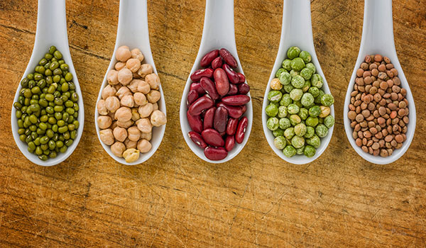 THE VEGETARIAN'S GUIDE TO GETTING PROTEIN
