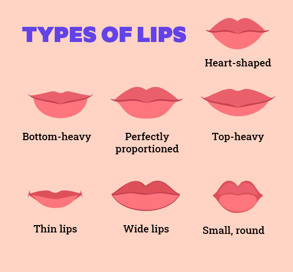 Types of Lip Shapes  Lip shapes, Cupids bow lips, Types of lips shape