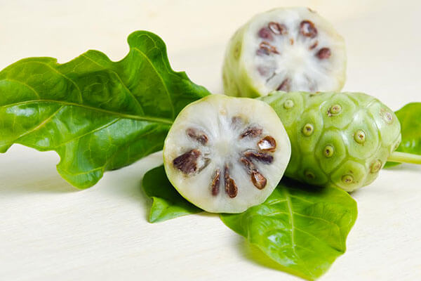 Noni juice hotsell benefits in kannada